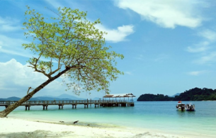 Andaman Island Explorer