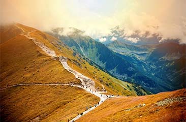 Charming Hills: A Shimla-Manali Adventure