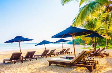 Coastal Charm of Goa 