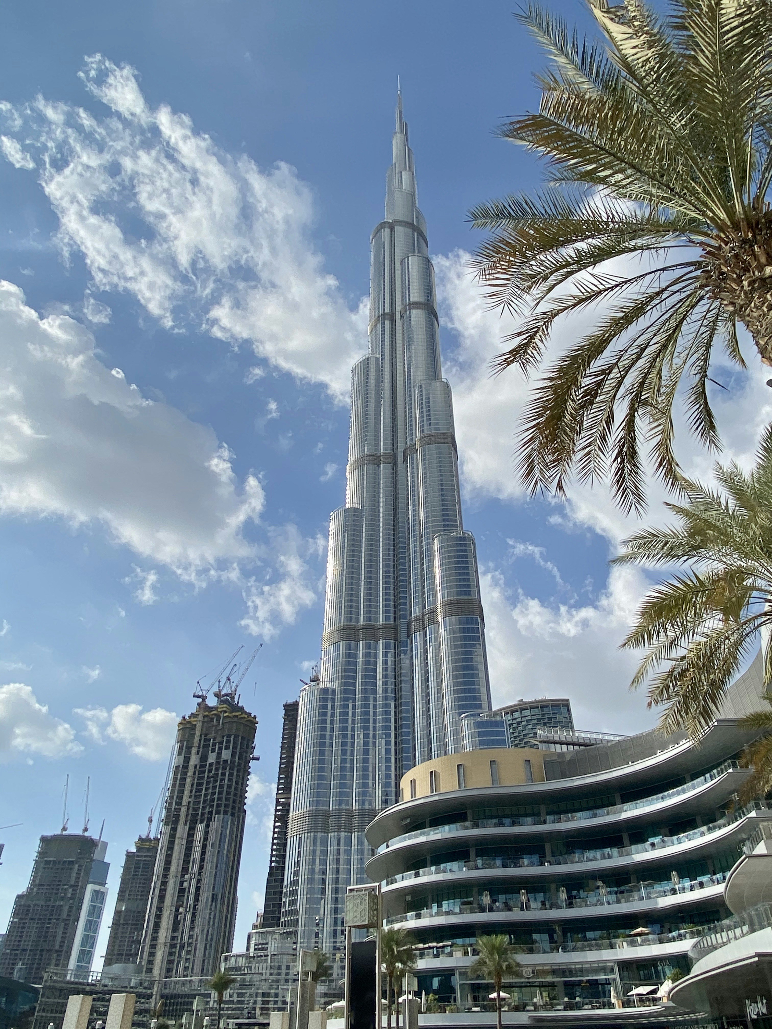 Explore Dubai Like Never Before