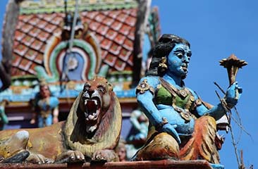 Enchanting Odisha Expedition