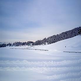 Kashmir Paradise Nature & Heritage Tour