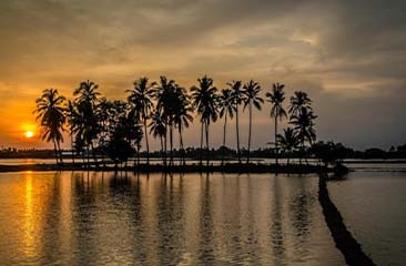 Kerala Explorer: Hills, Wildlife & Backwaters