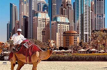 Love in the City of Gold