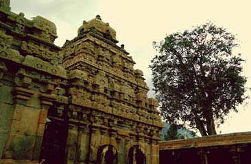 Odisha Delight with Daringbadi Hill Station