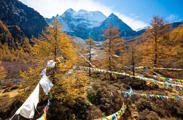 Sikkim Soulmate Escape