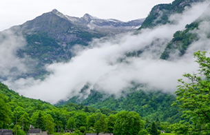 Assam Nature & Culture Getaway