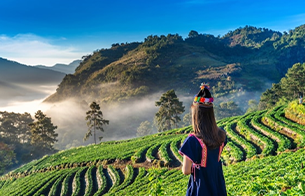 Assam Nature, Wildlife & Culture Tour