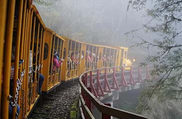 Whispers of Darjeeling 